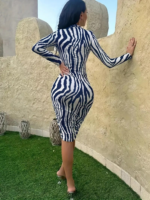 Kadın Uzun Kollu Mikro Midi Elbise - Görsel 7