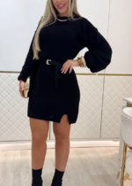 Kadın Uzun Kollu Yuvarlak Yakalı Kısa Triko Elbise - Görsel 3