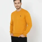 Erkek Bisiklet Yaka Nakış Işlemeli Triko Kazak Yumuşak Dokulu Pamuklu Ince Dokuma, Uzun Kollu Rahat Regular Kalıp - Turuncu