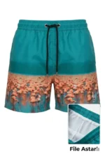 Deniz Şortu Fermuarlı Cepli File Astarlı Hızlı Kuruyan Premium - Su Yeşili - Görsel 3