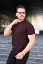 Erkek Bisiklet Yaka Petek Dokulu Kısa Kollu Triko Tişört - Görsel 2