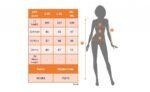 Kadın Bodycon Midi Boy Dalgıç Elbise - Görsel 2